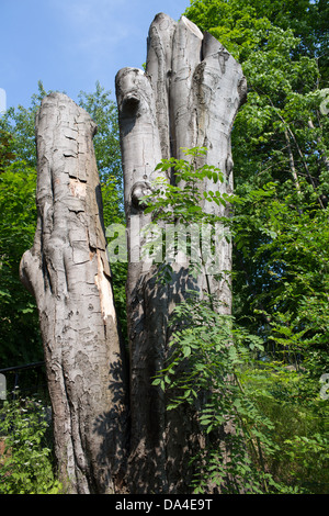 Vista sulla foresta di Tri-City area, Gdynia e Sopot Gdansk. Foto Stock