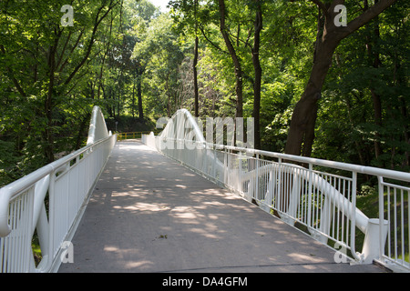 Vista sulla foresta di Tri-City area, Gdynia e Sopot Gdansk. Foto Stock