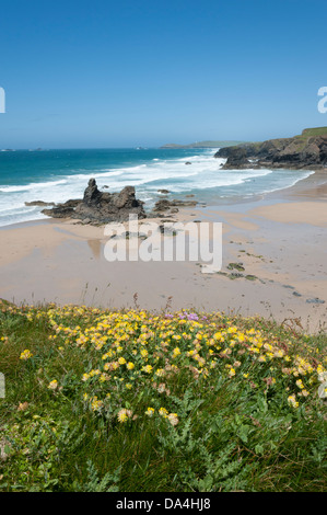 Una vista della baia di Porthcothan North Cornwall Regno Unito Foto Stock