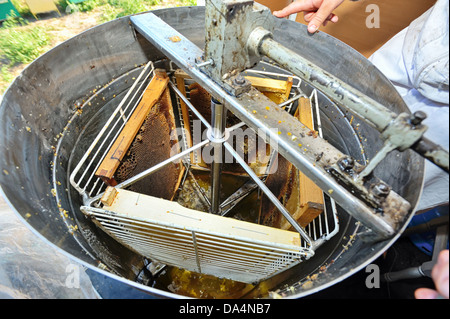 La produzione di miele di apparecchiature di elaborazione Foto Stock