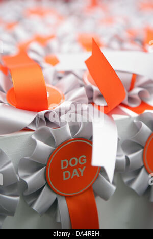 Londra, Regno Unito. 03 Luglio, 2013. Cane giorno carità fun dog show tenutosi a Chelsea Foto Stock