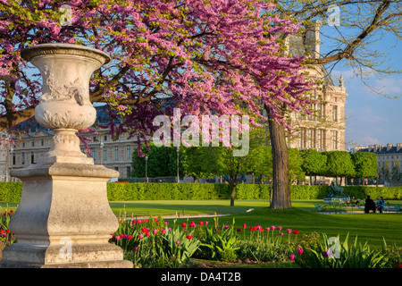 Serata primaverile nel Jardin des Tuileries con il Musee du Louvre al di là, Parigi Francia Foto Stock