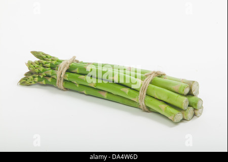 Un mazzetto di freschi Asparagi verdi spears, legato con la stringa marrone contro uno sfondo bianco. Foto Stock