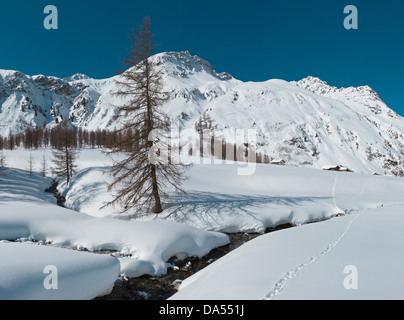 La Svizzera, Grigioni, Grigioni, Europa Sertigtal, Davos, inverno, neve montagne Foto Stock