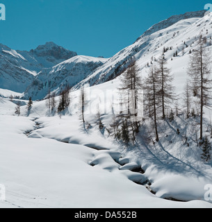 La Svizzera, Grigioni, Grigioni, Europa Sertigtal, Davos, inverno, la neve, montagne, Brook Foto Stock