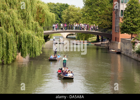 Punting, Cambridge Regno Unito - persone e sterline sul fiume Cam in estate visto da Clare Bridge, Inghilterra Cambridge Regno Unito Foto Stock