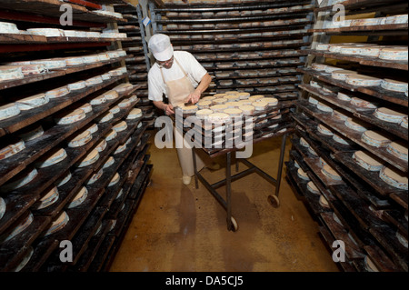 La Svizzera, Europa, Vaud, Saint George, cibo, formaggio, la tradizione, la fabbrica di formaggio, artigianato, AOC, Vacherin Mont-d'Or, il latte prodotto, Foto Stock