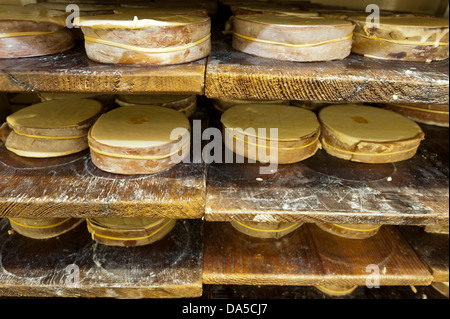 La Svizzera, Europa, Vaud, Saint George, cibo, formaggio, la tradizione, la fabbrica di formaggio, artigianato, AOC, Vacherin Mont-d'Or, il latte prodotto, Foto Stock