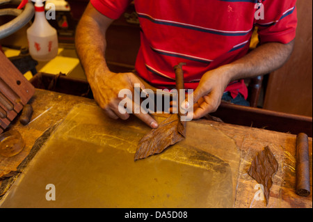 Città, Santo Domingo, Repubblica Dominicana, Caraibi, craft, sigari, produzione di sigari e tabacco, roll, mani Foto Stock