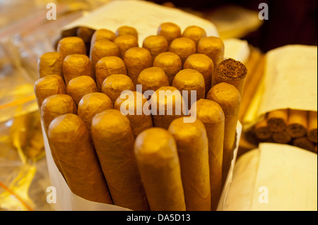 Città, Santo Domingo, Repubblica Dominicana, Caraibi, sigari, prodotti a base di tabacco, Foto Stock