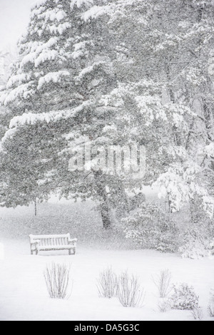 Paesaggi innevati con panca durante la nevicata. Foto Stock