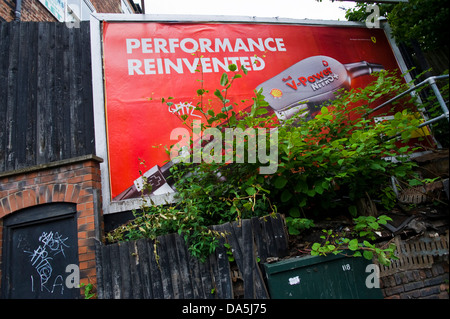 Ricoperta con knotweed giapponese affissioni poster del sito per Shell V-Power Nitro+ carburante in Leeds West Yorkshire England Regno Unito Foto Stock