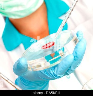 Mano doc contiene il test per il sangue Foto Stock