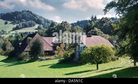 Agriturismo, agriturismo, albero, Breitloon, Emmental, house, home, corte, cortile, Canton Berna, Berna, scenario, agricoltura, Svizzera, Euro Foto Stock