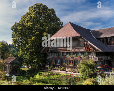 Giardino agriturismo, agriturismo, agriturismo, albero, villaggio, Emmenmatt, Emmental, giardino, house, home, corte, cortile, Timber house, Canton Berna, B Foto Stock