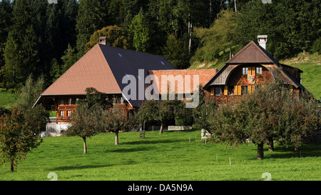 Melo, agriturismo, agriturismo, agriturismo legno, Berna bear, tetto, Emmental, bandiera, casa, casa chalet, corte, cortile, Hofstatt, canton Berna Foto Stock