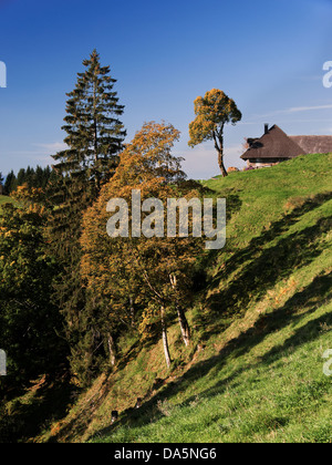 Agriturismo, agriturismo, tetto, Emmental, house, casa, corte, cortile, paesaggio collinare, canton Berna Berna, paesaggi, Langnau, Lüderenalp, superiore Foto Stock