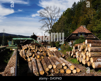 Tronco, tronchi, Emmental, legno, canton Berna Berna, legname, Svizzera, Europa, Signau, famiglia legno, Sägerei, Sägeret, legno Foto Stock