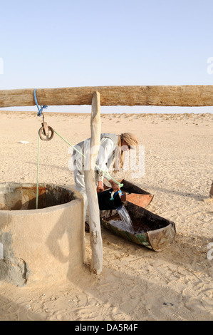 Uomo tunisino tirando l'acqua da un pozzo nel deserto del Sahara vicino a Tozeur utilizzati per i cammelli per bere la Tunisia Foto Stock