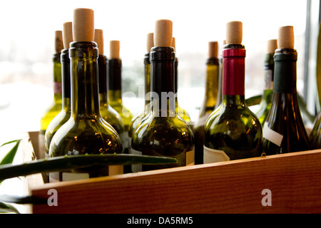 Molte bottiglie di vino con tappi di sughero Foto Stock