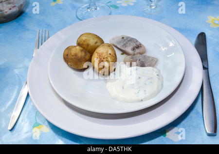 Tipico piatto svedese di patate bollite e tagliate a fette aringhe salate Foto Stock