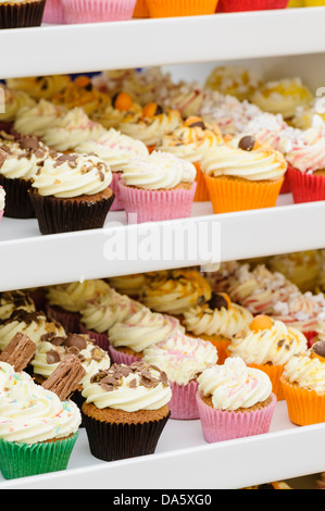 Selezione delle tortine sui ripiani Foto Stock