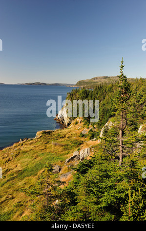 Costa scoscesa, Nuova Bonaventura, Terranova, Canada, mare, rocce, paesaggio Foto Stock