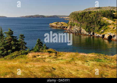 Costa scoscesa, Nuova Bonaventura, Terranova, Canada, mare, rocce, paesaggio Foto Stock