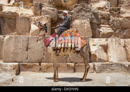 Uomo e cammello accanto alla grande Piramide di Giza, noto anche come piramide di Khufu e piramide di Cheope, Giza, il Cairo, Egitto Foto Stock