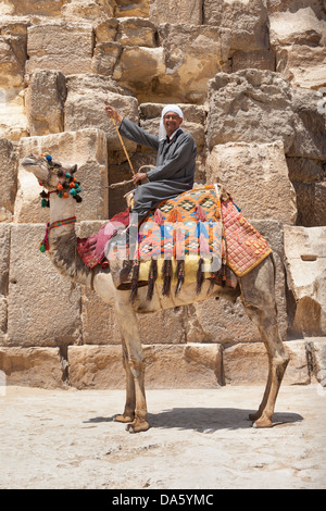 Uomo e cammello accanto alla grande Piramide di Giza, noto anche come piramide di Khufu e piramide di Cheope, Giza, il Cairo, Egitto Foto Stock