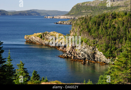 Robusto, costa, Nuovo Bonaventura, Terranova, Canada, il mare, il bosco, paesaggio, Foto Stock