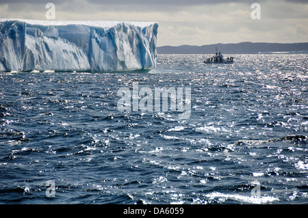 Tour in barca, iceberg, instabile, mare, Iceberg Tour, Twillingate, Terranova, Canada, ghiaccio, flottante, Foto Stock