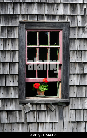 Storia viva, Villaggio, re Landing, Fredericton, New Brunswick, Canada, finestra, fiori, herpes zoster Foto Stock