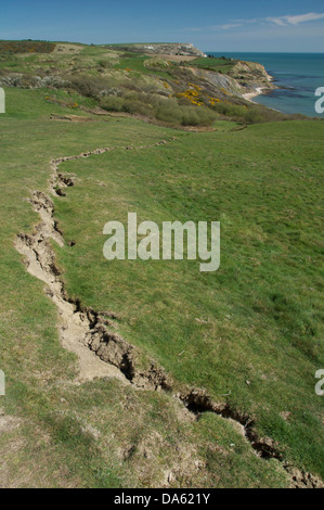 Incrinature appaiono in un campo al di sopra delle scogliere a Osmington Mills. Parte del processo naturale di erosione costiera. Jurassic Coast, Dorset, Inghilterra, Regno Unito. Foto Stock