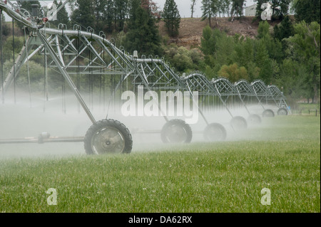 Meccanica sprinkler acqua in un campo nel Montana Occidentale. Foto Stock