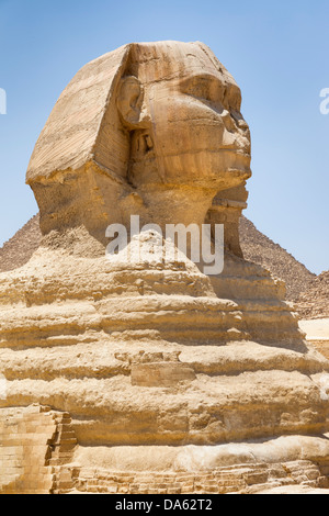 La Grande Sfinge Giza, il Cairo, Egitto Foto Stock