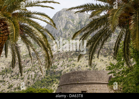 Vecchia torre in pietra tra alberi di palma tropicali con alte colline in background Foto Stock