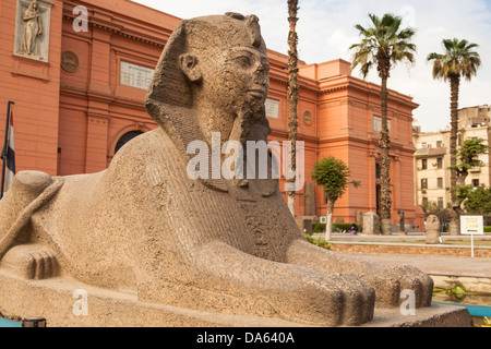 Sphinx statua al di fuori del Museo Egizio, noto anche come il Museo delle Antichità Egizie e Museo del Cairo, il Cairo, Egitto Foto Stock