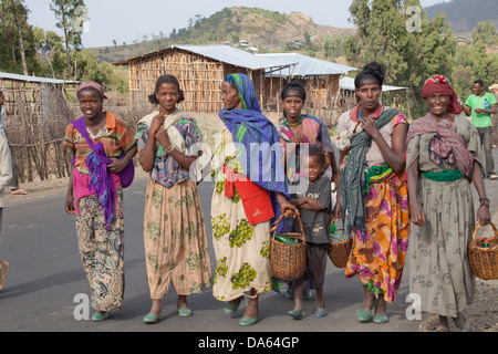 Persone, Oromo, Etiopia, tribù, Africa, donna, asino, Foto Stock