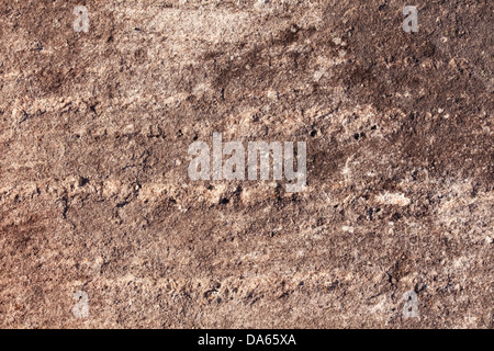 Immagine ravvicinata di una roccia in superficie. Muskoka, Ontario, Canada. Foto Stock