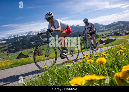 Ciclista, biker, area di Appenzell, molla, bicicletta, biciclette, moto, in sella ad una bicicletta, cantone di Appenzell, Innerroden, Alpstein, Sänt Foto Stock