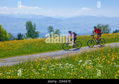 Biker, Bachtel, vista lago di Zurigo, il lago, laghi, Canton, ZH, Zurigo, bicicletta, biciclette, moto, in sella ad una bicicletta, sport estivi, spo Foto Stock