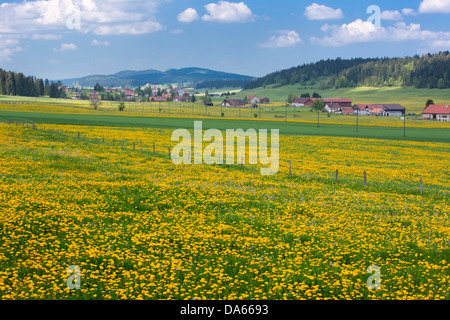 La Chaux-du-ambienti, Canton, NE, Neuenburg, Neuchatel, Giura, villaggio, Svizzera, Europa, Le Locle, molla, prato Foto Stock