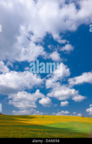 Campo, La Chaux-du-ambienti, Canton, NE, Neuenburg, Neuchatel, Giura, villaggio, meteo, nuvole, cloud, agricoltura, Svizzera, e Foto Stock