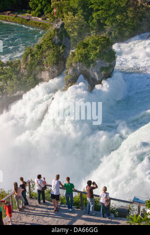 Cascate del Reno, Sciaffusa, acqua, cascata, Canton, SH, Sciaffusa, Canton, ZH, Zurigo, Reno, Svizzera, Europa tourist Foto Stock