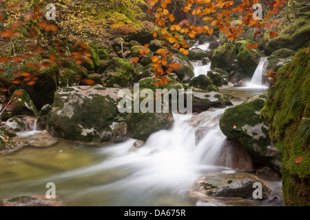 Areuseschlucht, Giura, fiume, flusso, Brook, corpo di acqua, acqua, nebbia, mare di nebbia, nebbia, gulch, canyon, Canton, NE, Neuenburg, Neuc Foto Stock