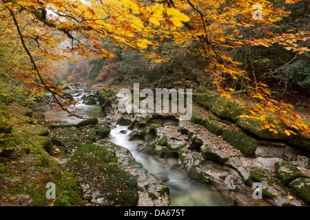 Areuseschlucht, Giura, fiume, flusso, Brook, corpo di acqua, acqua, nebbia, mare di nebbia, nebbia, gulch, canyon, Canton, NE, Neuenburg, Neuc Foto Stock