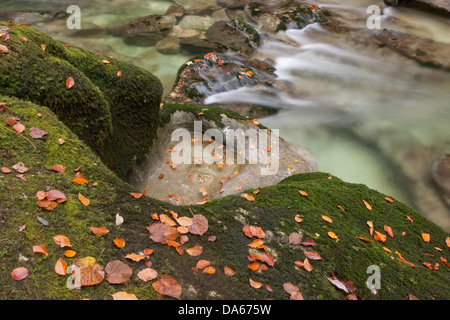 Areuseschlucht, Giura, fiume, flusso, Brook, corpo di acqua, acqua, nebbia, mare di nebbia, nebbia, gulch, canyon, Canton, NE, Neuenburg, Neuc Foto Stock