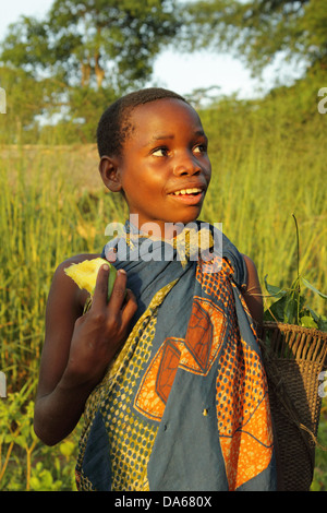 Etniche, minoranza, indigeni, persona, Pigmei, Pigmei, dei Pigmei Baka, dei Pigmei Baka girl, Sangha, Dzanga Sangha, Bayanga, Bacino del Congo, Foto Stock