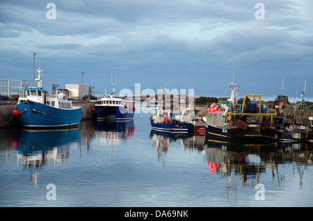 Imbarcazioni da diporto ormeggiata in porto seahouses nella luce della sera northumberland Foto Stock